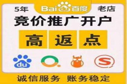 谷歌竞价优化：实战案例分析及策略